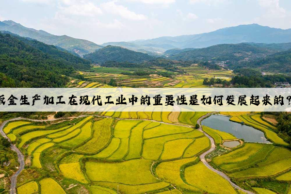 鈑金生產(chǎn)加工在現(xiàn)代工業(yè)中的重要性是如何發(fā)展起來的？