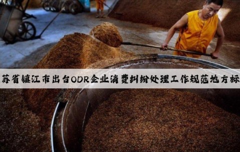 江蘇省鎮(zhèn)江市出臺ODR企業(yè)消費糾紛處理工作規(guī)范地方標準