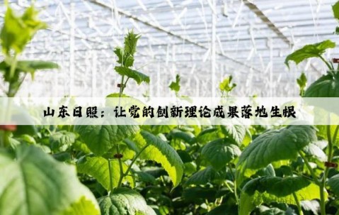 山東日照：讓黨的創新理論成果落地生根