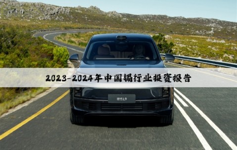 2023-2024年中國錫行業投資報告