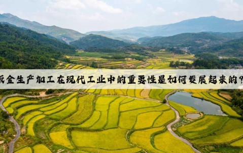 鈑金生產(chǎn)加工在現(xiàn)代工業(yè)中的重要性是如何發(fā)展起來(lái)的？