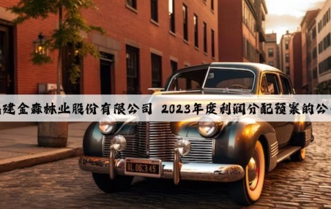 福建金森林業股份有限公司 2023年度利潤分配預案的公告