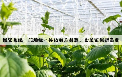 維宏系統丨門墻柜一體化加工利器，全屋定制新高度